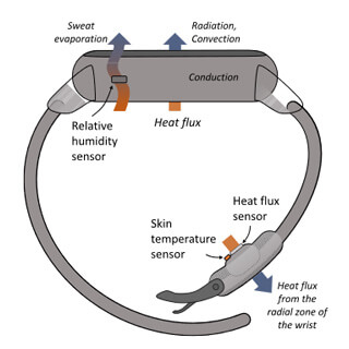 heat flux measurement in smartwatch